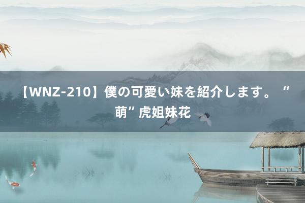 【WNZ-210】僕の可愛い妹を紹介します。 “萌”虎姐妹花