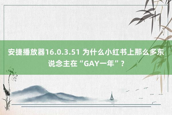 安捷播放器16.0.3.51 为什么小红书上那么多东说念主在“GAY一年”？