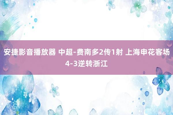 安捷影音播放器 中超-费南多2传1射 上海申花客场4-3逆转浙江