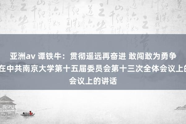 亚洲av 谭铁牛：贯彻遥远再奋进 敢闯敢为勇争先——在中共南京大学第十五届委员会第十三次全体会议上的讲话