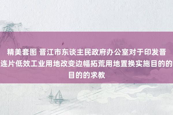 精美套图 晋江市东谈主民政府办公室对于印发晋江市连片低效工业用地改变边幅拓荒用地置换实施目的的求教