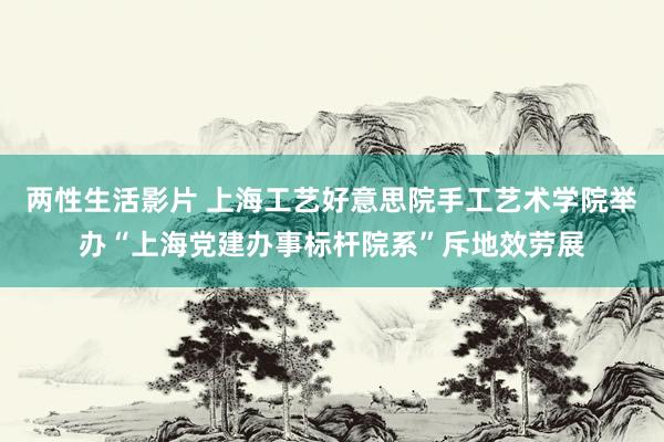 两性生活影片 上海工艺好意思院手工艺术学院举办“上海党建办事标杆院系”斥地效劳展