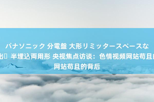 パナソニック 分電盤 大形リミッタースペースなし 露出・半埋込両用形 央视焦点访谈：色情视频网站苟且