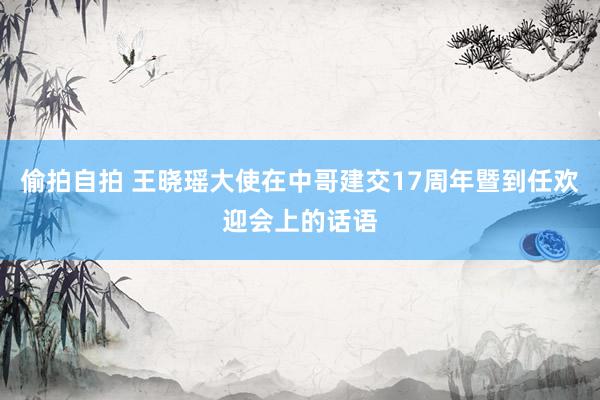 偷拍自拍 王晓瑶大使在中哥建交17周年暨到任欢迎会上的话语