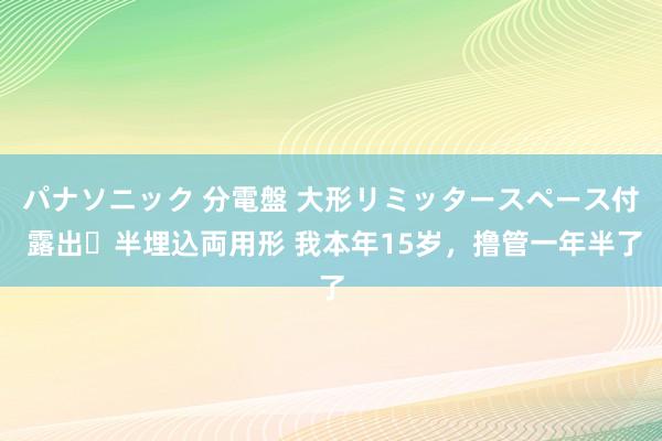 パナソニック 分電盤 大形リミッタースペース付 露出・半埋込両用形 我本年15岁，撸管一年半了